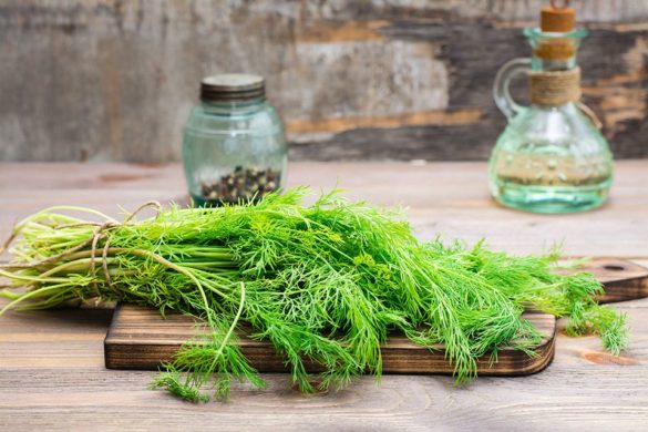 Fennel-Apple Juice Fennel-Apple Juice