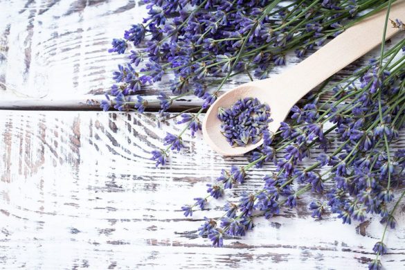 Lavender Lavender Syrup